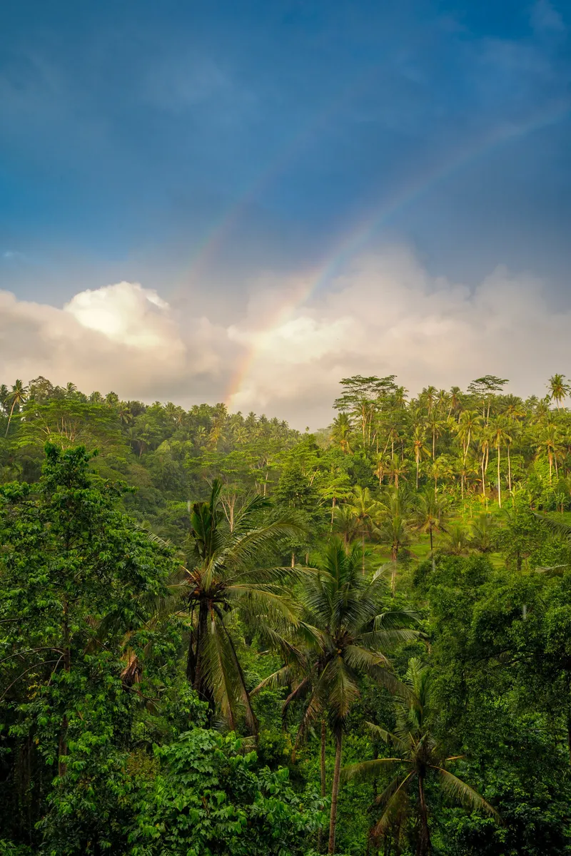 Bali